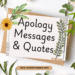 Apology Messages Apology Quotes